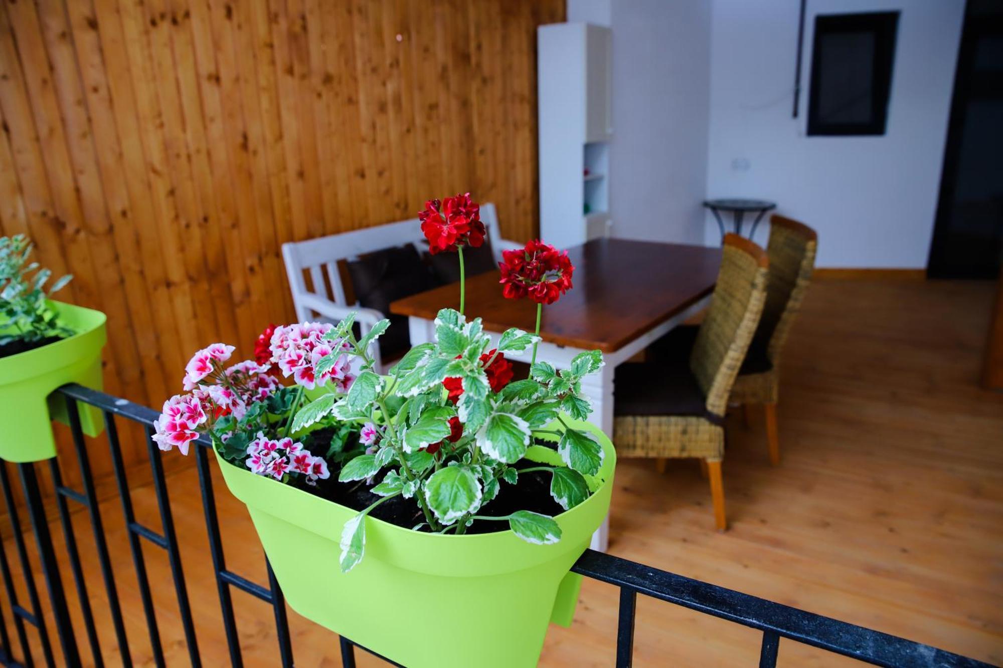 Floasiu Residence Guesthouse Сибиу Экстерьер фото