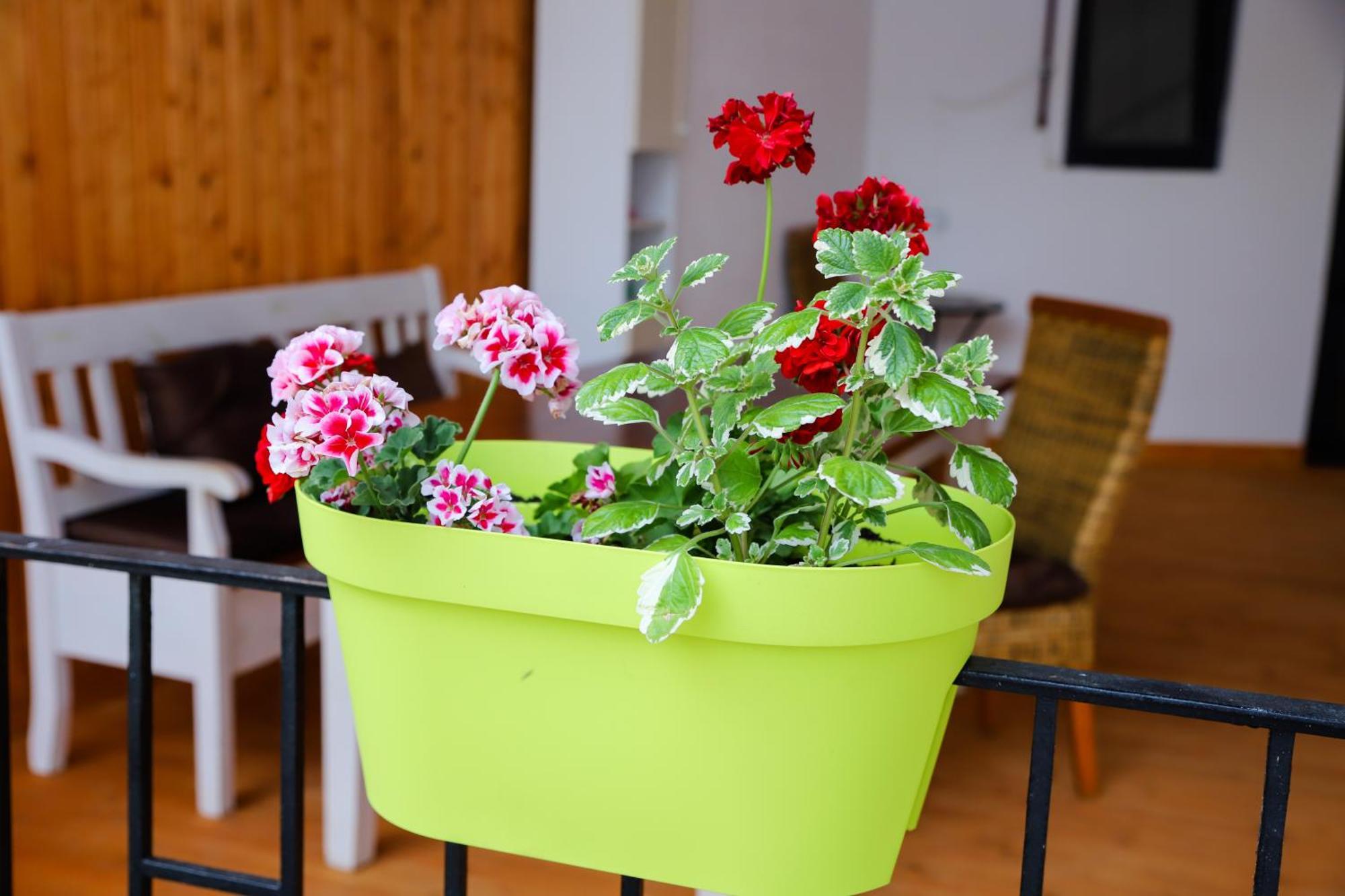 Floasiu Residence Guesthouse Сибиу Экстерьер фото